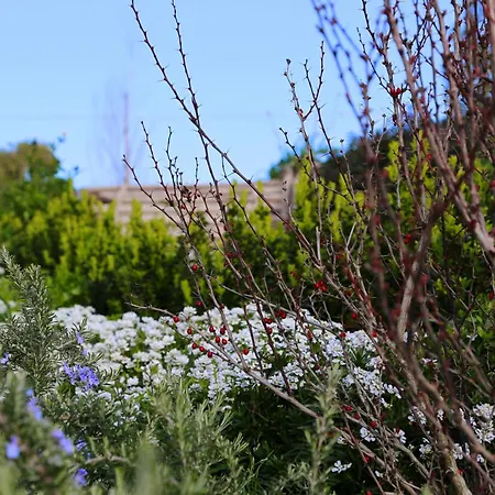 Agriturismo Biocore 2 - - *